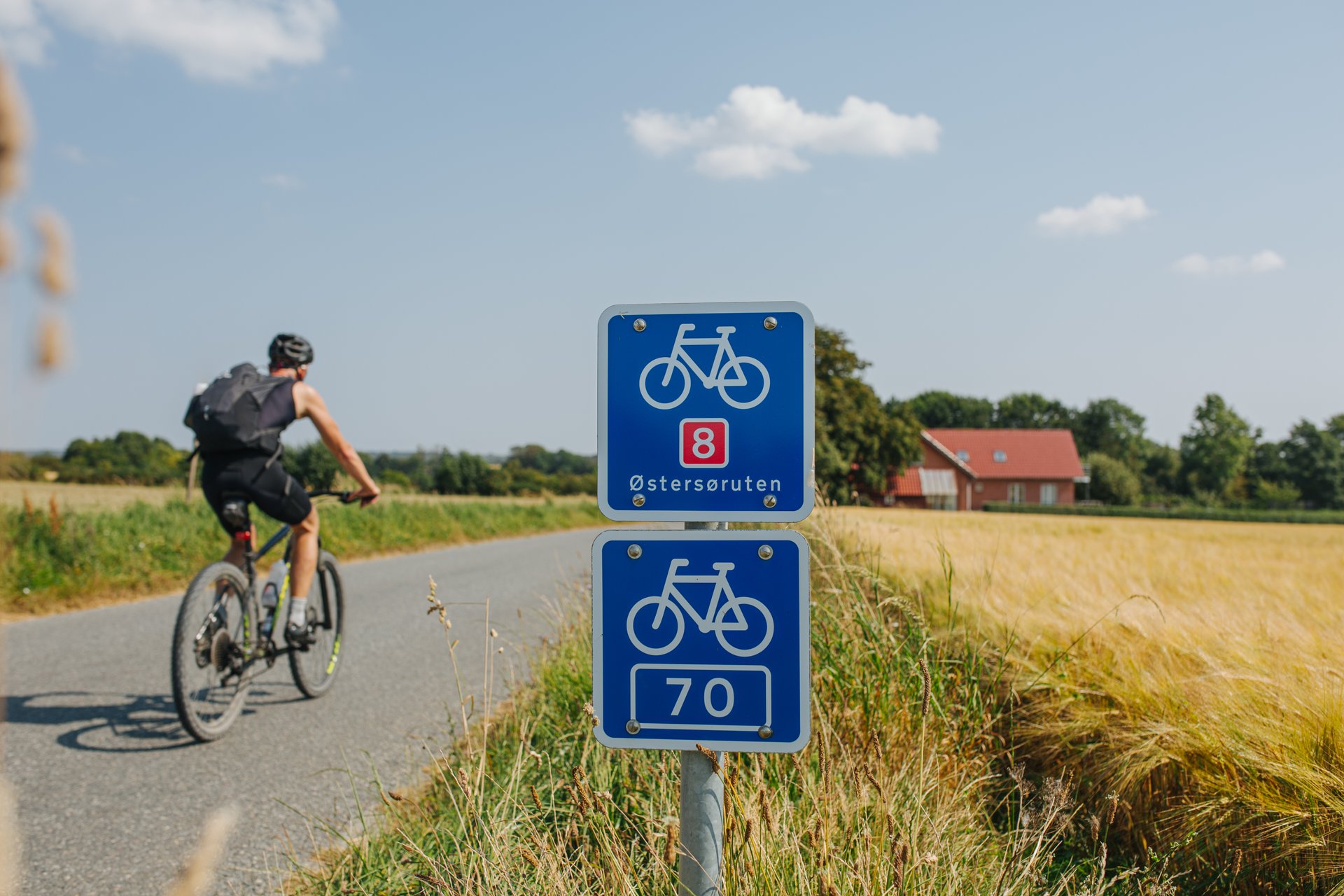 Danmarks nationale cykelruter – en vision for fremtiden